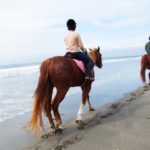 乗馬で海辺を散歩中