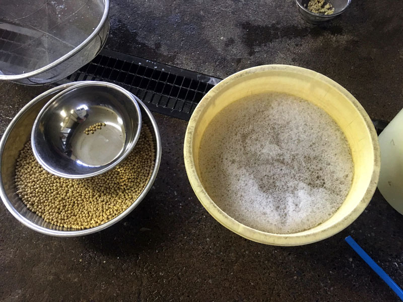 米から味噌まで　大豆を洗う
