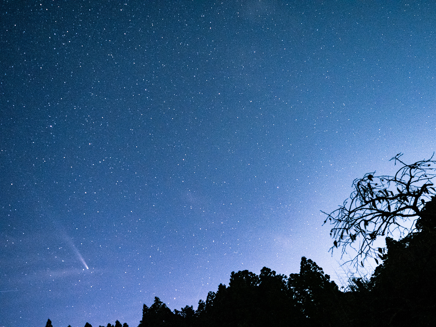 紫金山・アトラス彗星　南房総市